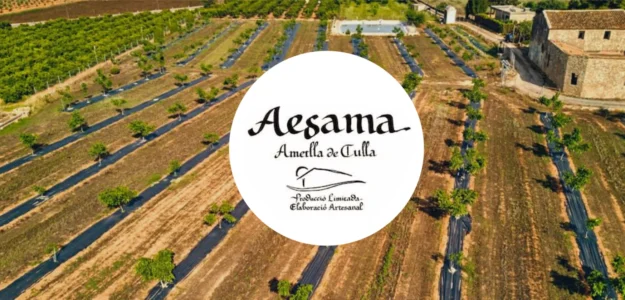 AESAMA