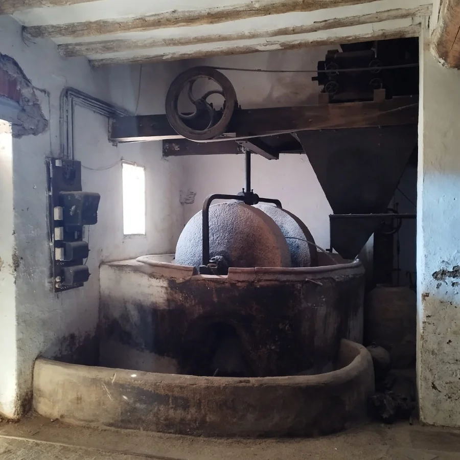 Descobreix la cultura dels olis d'oliva amb Olis Fogà (Albocàsser) - Imatge 4