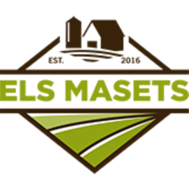 Els Masets