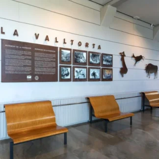 Museu de la Valltorta